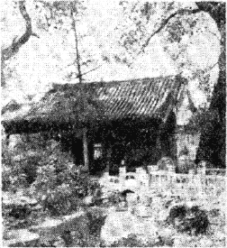中門の写真
