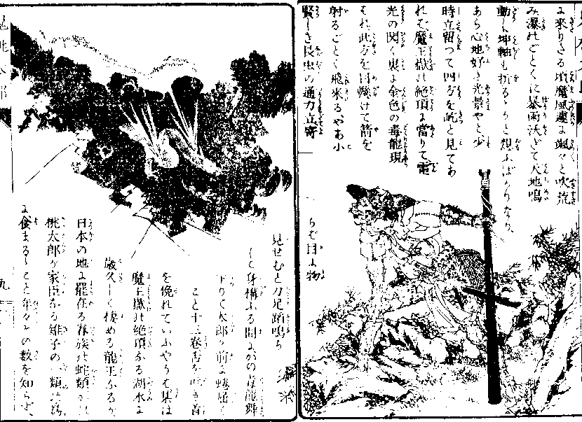 「毒竜」の図