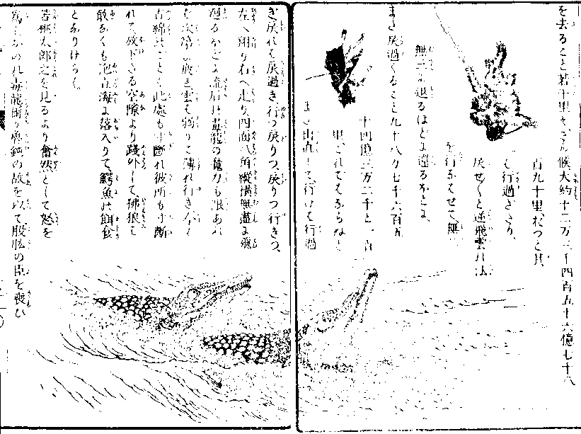 「狒狼が海に落入」の図