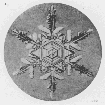 「第１図版」のキャプション付きの図