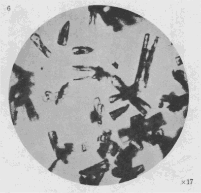 「第３図版」のキャプション付きの図