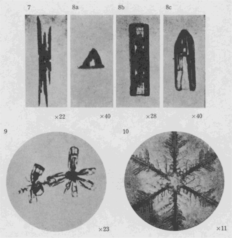 「第４図版」のキャプション付きの図