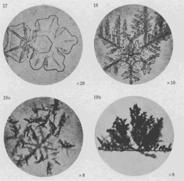 「第６図版」のキャプション付きの図