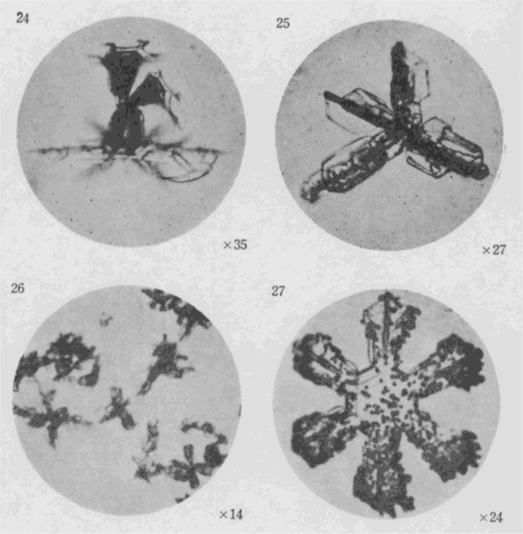 「第８図版」のキャプション付きの図