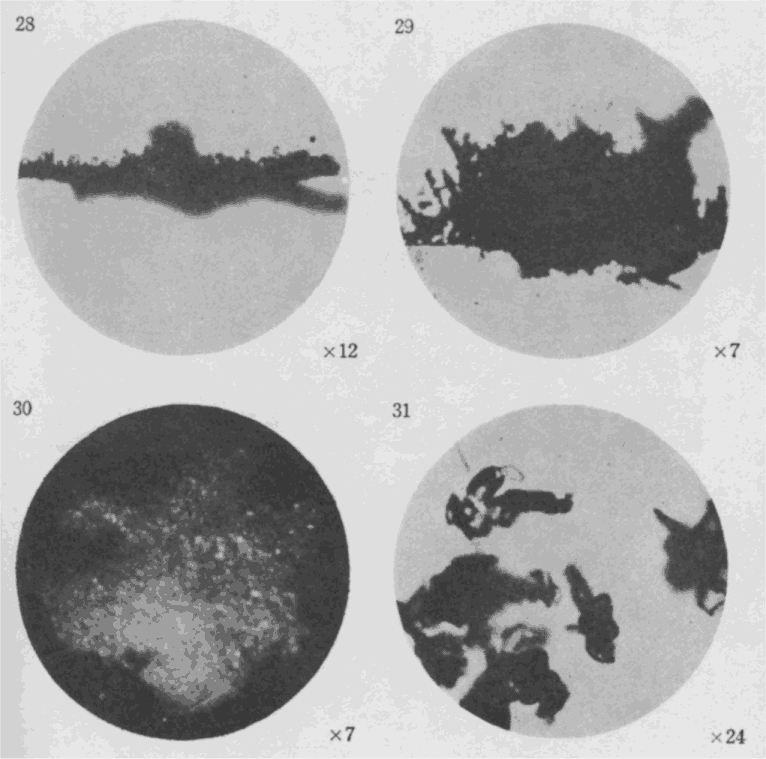 「第９図版」のキャプション付きの図