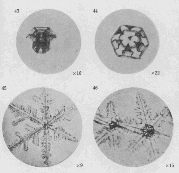 「第11図版」のキャプション付きの図