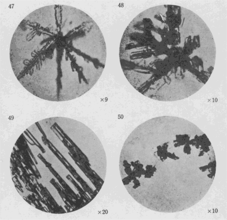 「第12図版」のキャプション付きの図