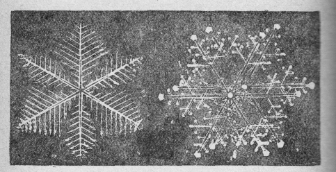 「第２図」のキャプション付きの図