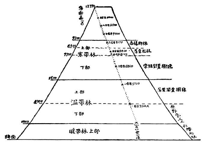 「富士山の森林帶」のキャプション付きの図