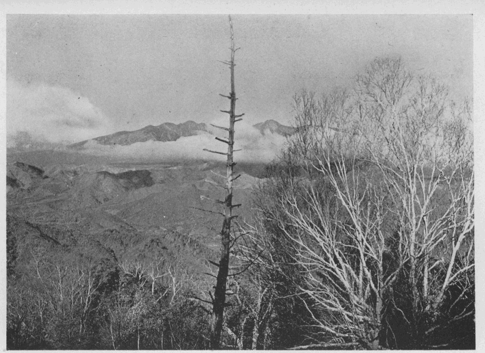 「朝の八ヶ岳」のキャプション付きの写真