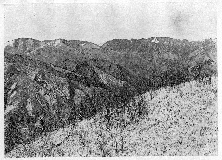 「●大菩薩連嶺の南半（佐野峠より）」のキャプション付きの写真