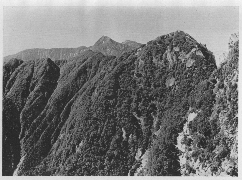 「●北より見たる摩利支天峰と北岳及び間ノ岳」のキャプション付きの写真