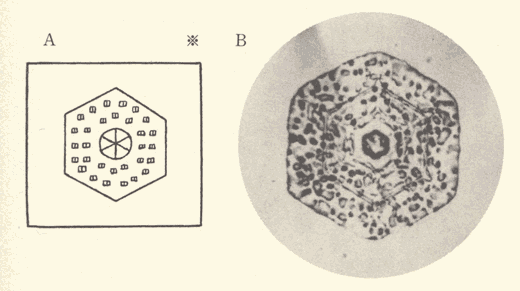 「第二図」のキャプション付きの図